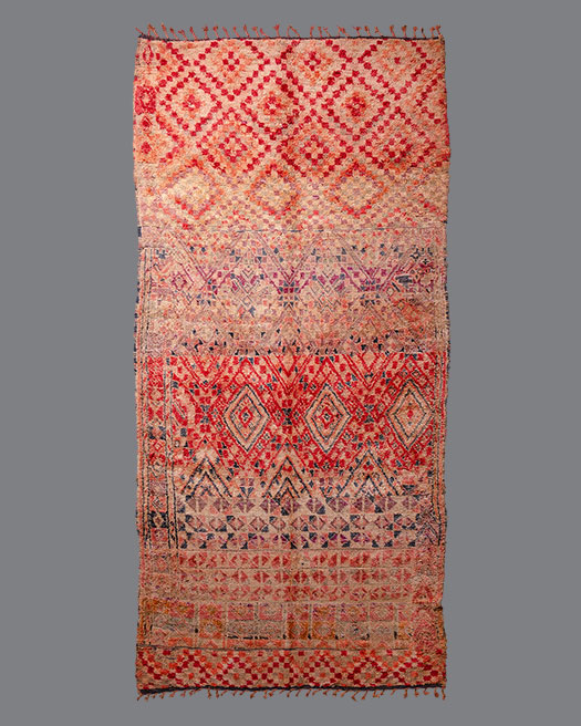 Moroccan Aït Youssi AY05