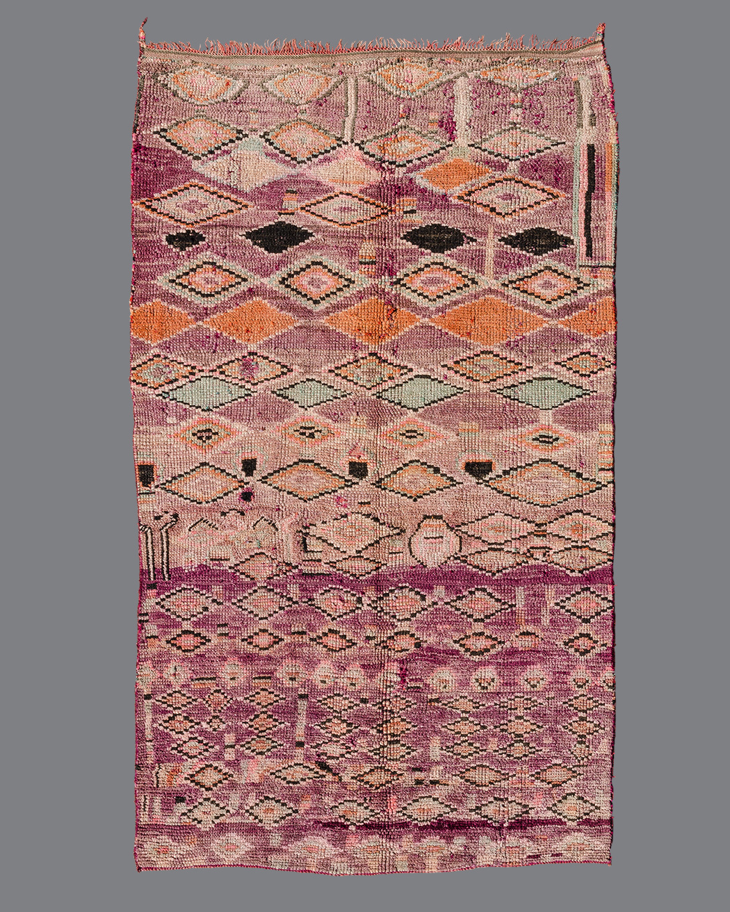 Moroccan Boujad BJ47