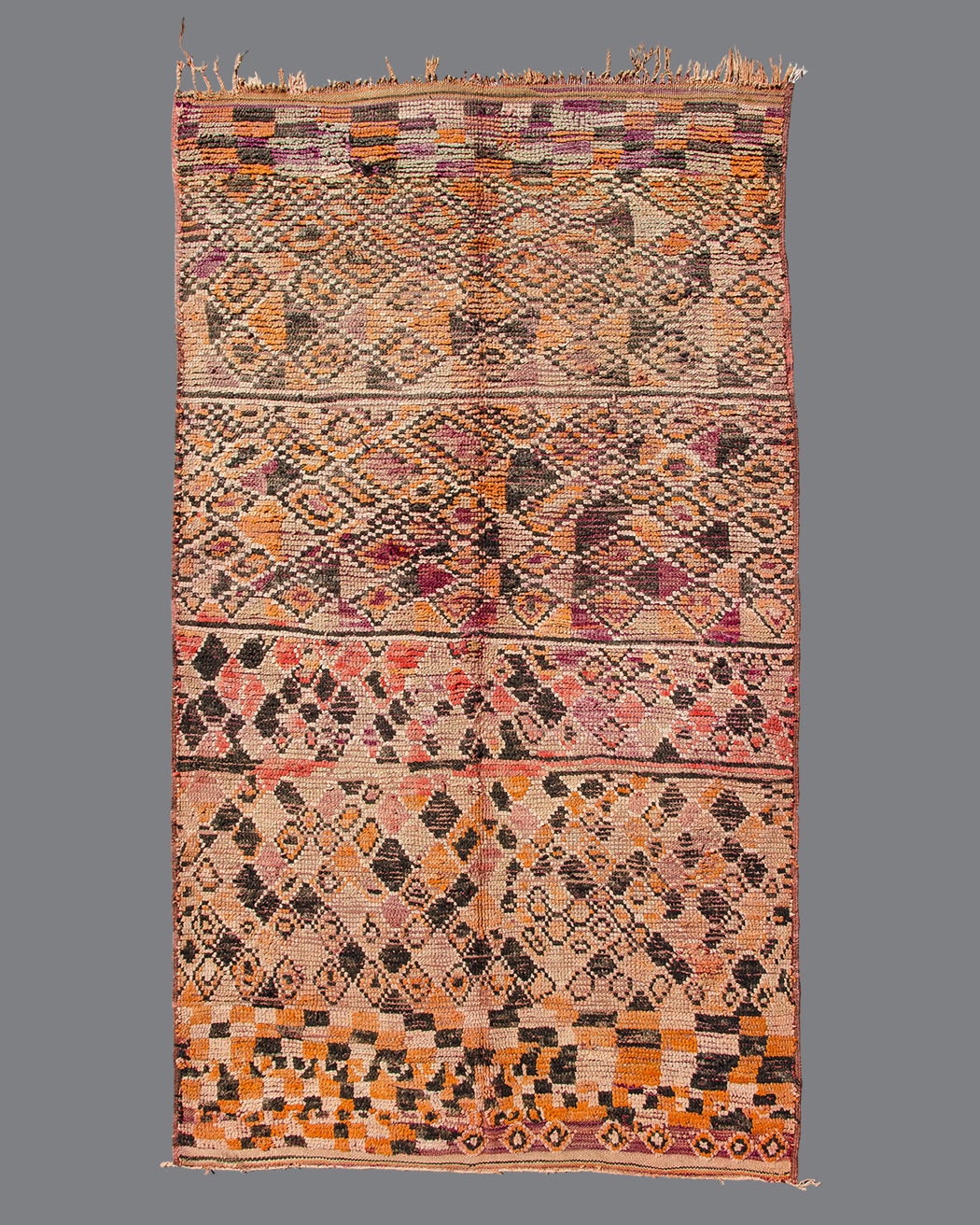 Moroccan Boujad BJ55