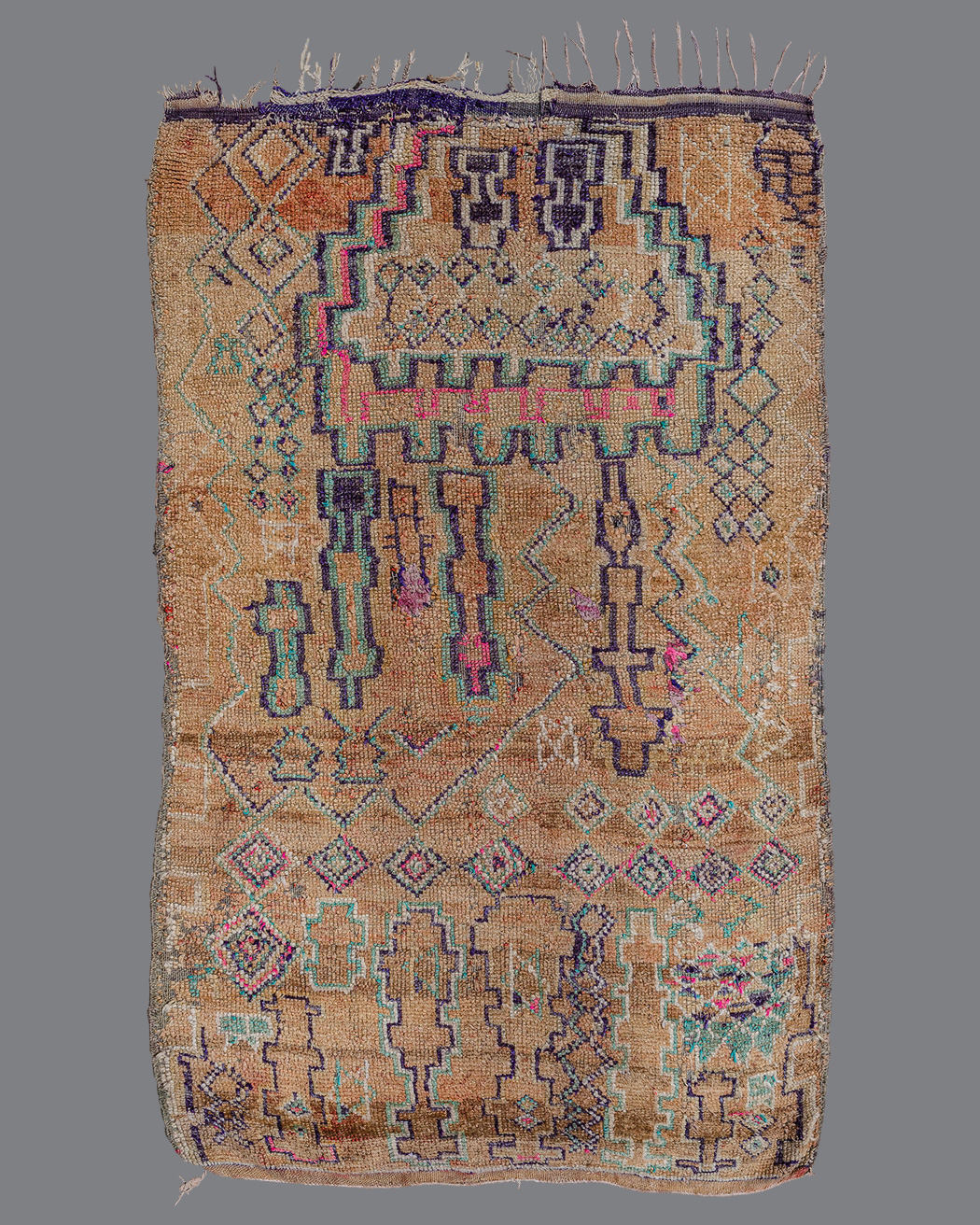 Moroccan Boujad BJ84