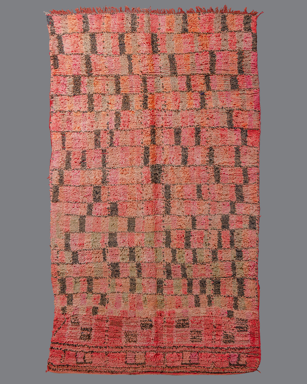 Moroccan Boujad BJ_109