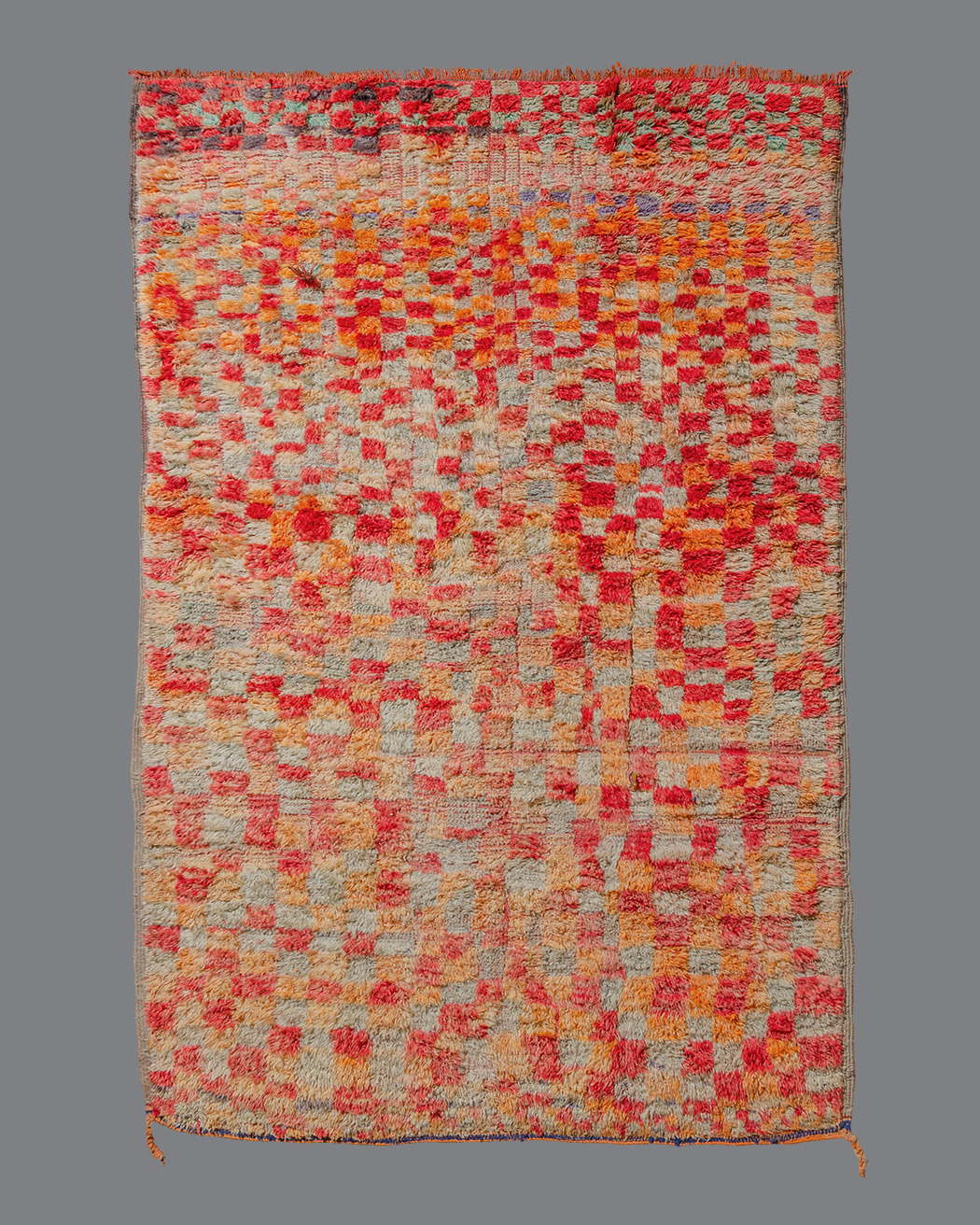 Moroccan Boujad BJ_111