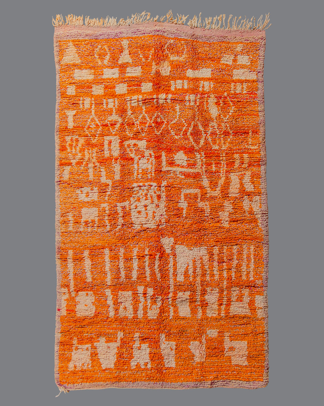 Moroccan Boujad BJ_120