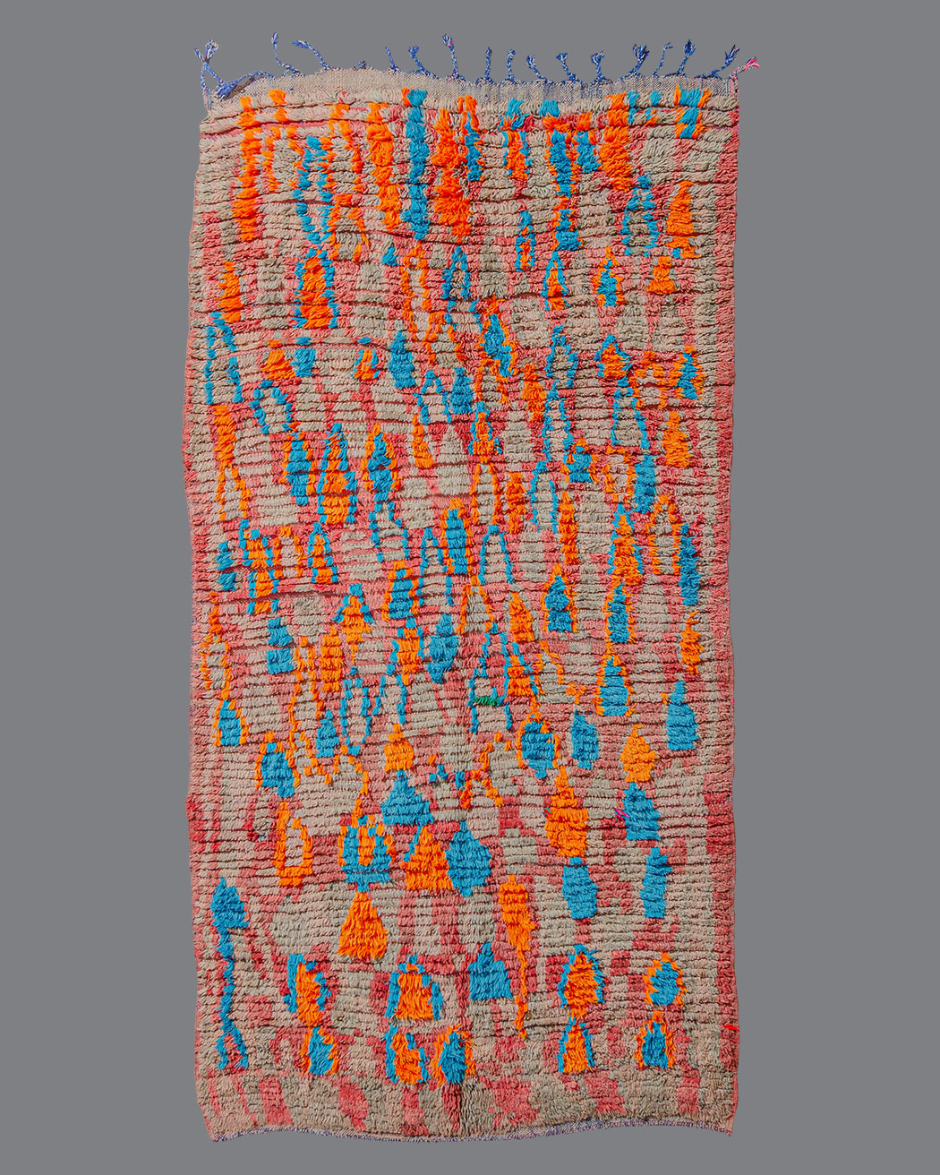 Moroccan Boujad BJ_126