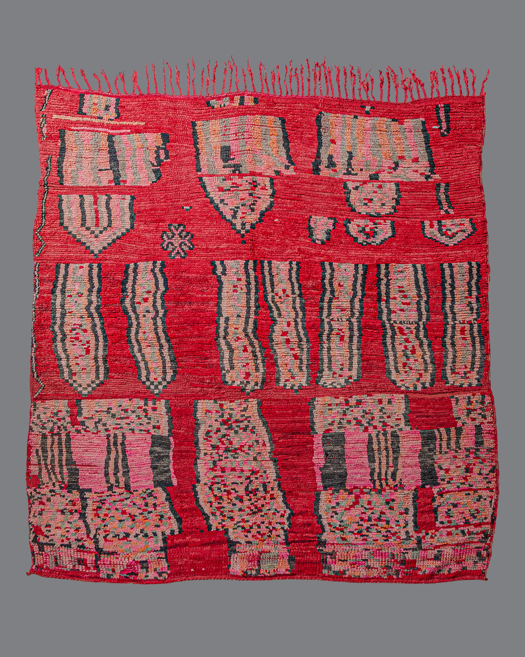 Moroccan Boujad BJ_132