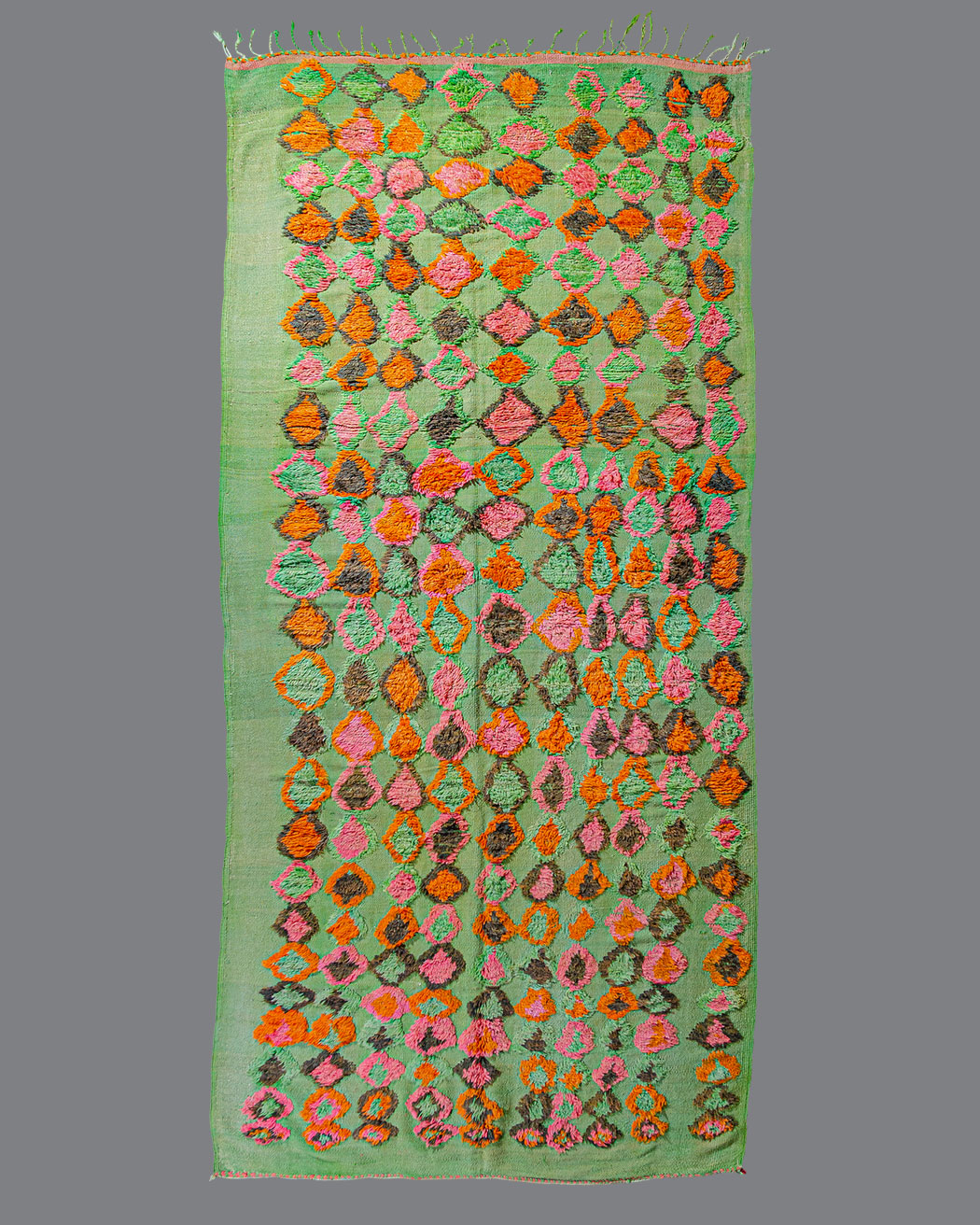 Moroccan Boujad BJ_134